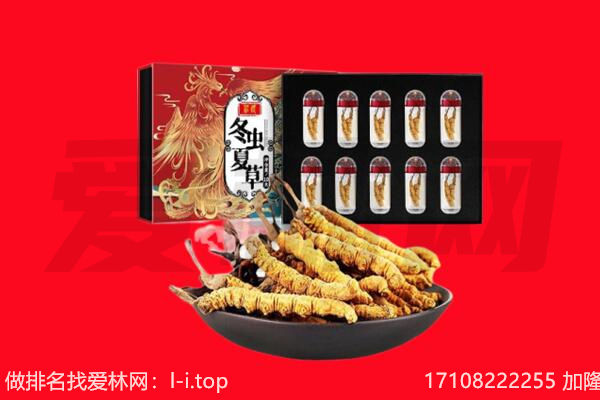 鞍山市千山回收虫草.jpg